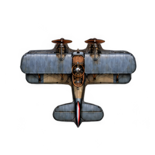 Twin-engine biplane